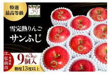 【26年1月～発送】りんご 【 数量限定 】雪完熟りんご 最高等級 糖度13度以上 「特選」 サンふじ 約 3kg 9個入り【レビューキャンペーン】