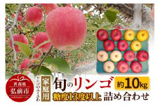 【25年11月～発送】りんご 家庭用 旬のリンゴ詰め合わせ 約10kg 糖度13度以上【レビューキャンペーン】