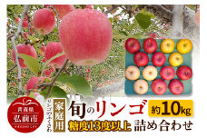 【25年11月～発送】りんご 家庭用 旬のリンゴ詰め合わせ 約10kg 糖度13度以上【レビューキャンペーン】