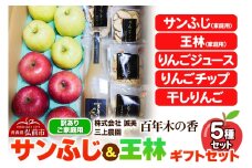 【25年12月～発送】りんご 【訳あり】家庭用 百年木の香 三上農園 サンふじ 王林 ギフトセット【先行受付】 青森 果物 フルーツ 林檎 リンゴ くだもの 不揃い 規格外 予約【レビューキャンペーン】