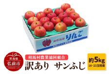 【26年2月発送】りんご【訳あり】サンふじ 約5kg（16～23玉程度）【レビューキャンペーン】