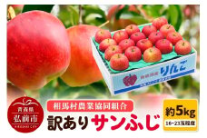 【26年2月発送】りんご【訳あり】サンふじ 約5kg（16～23玉程度）【レビューキャンペーン】