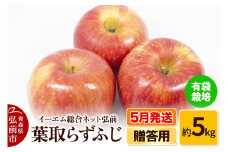 【26年5月クール便発送】りんご  贈答用 葉取らず ふじ 約5kg（有袋栽培・CA貯蔵）EMりんご【レビューキャンペーン】
