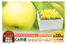 【26年3月発送】りんご【訳あり】家庭用 シナノゴールド約10kg（32～40玉程度）CA スマートフレッシュ【レビューキャンペーン】