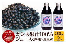 カシス果汁100％ジュース（無加糖・無添加）250ml×2本【果汁飲料】【レビューキャンペーン】