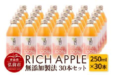 りんごジュース RICH APPLE 無添加製法 30本セット（250ml×30本）【レビューキャンペーン】