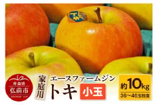 【25年9月～発送】りんごトキ 家庭用 約10kg（小玉36～46玉程度）【先行受付】 青森 果物 フルーツ 林檎 リンゴ くだもの 予約【レビューキャンペーン】