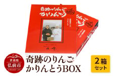 奇跡のりんごかりんとうBOX 2箱セット【 和菓子 スイーツ  】【レビューキャンペーン】