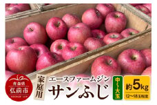 【25年11月～発送】りんご【数量限定】家庭用 サンふじ 約5kg（中玉～大玉12～18玉程度）【先行受付】 青森 果物 フルーツ 林檎 リンゴ くだもの 予約【レビューキャンペーン】