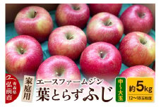 【25年11月～発送】りんご【数量限定】家庭用 葉とらず ふじ 約5kg（中玉～大玉12～18玉程度）【先行受付】 青森 果物 フルーツ 林檎 リンゴ くだもの 予約【レビューキャンペーン】