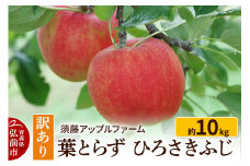 【25年10月～発送】りんご【訳あり】家庭用 ひろさきふじ 約10kg（葉とらず）【レビューキャンペーン】