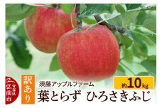 【25年10月～発送】りんご【訳あり】家庭用 ひろさきふじ 約10kg（葉とらず）【レビューキャンペーン】