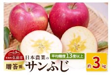 【25年11月～発送】りんご 平均糖度13度以上！ サンふじ 約3kg 贈答用 【先行受付】 青森 果物 フルーツ 林檎 リンゴ くだもの 予約【レビューキャンペーン】