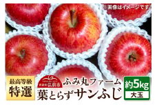 【25年12月発送】りんご 最高等級「特選」大玉 葉とらず サンふじ 約5kg 糖度14度以上【レビューキャンペーン】