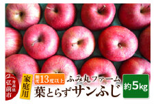 【25年12月発送】りんご【家庭用】葉とらず サンふじ 約5kg 糖度13度以上【レビューキャンペーン】