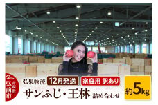 【25年12月発送】りんご 家庭用 訳あり サンふじ・王林 詰め合わせ 約5kg【レビューキャンペーン】