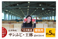 【25年12月発送】りんご 贈答用 サンふじ・王林 詰め合わせ 約5kg【レビューキャンペーン】