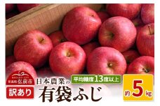 【26年4月～発送】りんご 平均糖度13度以上！ 有袋ふじ 約5kg 訳あり CA貯蔵 クール便【先行受付】 青森 果物 フルーツ 林檎 リンゴ くだもの 不揃い 規格外 予約【レビューキャンペーン】