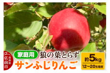 【25年12月～発送】りんご サンふじりんご 狼の葉とらず 約5kg（12玉～20玉程度）家庭用【訳あり】【レビューキャンペーン】