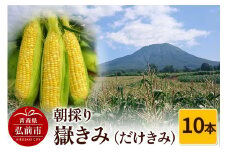 【25年8月～発送】朝採り 嶽きみ（だけきみ）10本【レビューキャンペーン】