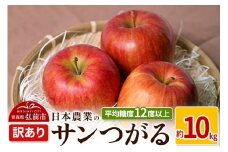 【25年9月～発送】りんご 平均糖度12度以上！ サンつがる 約10kg 訳あり クール便【先行受付】 青森 果物 フルーツ 林檎 リンゴ くだもの 不揃い 規格外 予約【レビューキャンペーン】