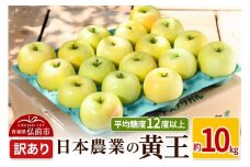 【25年9月～発送】りんご 平均糖度12度以上！ 黄王 約10kg 訳あり クール便【先行受付】 青森 果物 フルーツ 林檎 リンゴ くだもの 不揃い 規格外 予約【レビューキャンペーン】