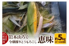 【25年8月～発送】岩木山ろく 今朝採り とうもろこし 恵味 約5kg（10～12本程度）【レビューキャンペーン】