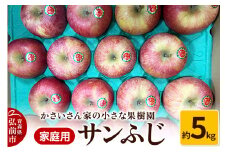 【25年11月～発送】りんご サンふじ 約5kg【家庭用】【レビューキャンペーン】