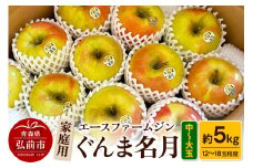 【25年10月～発送】りんご家庭用ぐんま名月 約5kg（中玉～大玉12玉～18玉程度）【先行受付】 青森 果物 フルーツ 林檎 リンゴ くだもの 予約【レビューキャンペーン】