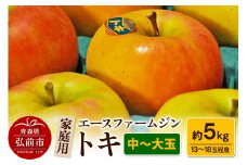 【25年9月～発送】りんごトキ 家庭用 約5kg（中玉～大玉13～18玉程度）【先行受付】 青森 果物 フルーツ 林檎 リンゴ くだもの 予約【レビューキャンペーン】