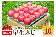 【25年10月～発送】りんご 平均糖度12度以上！ 早生ふじ 約10kg 訳あり【先行受付】 青森 果物 フルーツ 林檎 リンゴ くだもの 不揃い 規格外 予約【レビューキャンペーン】