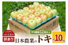 【25年10月～発送】りんご 平均糖度12度以上！ トキ 約10kg 訳あり【先行受付】 青森 果物 フルーツ 林檎 リンゴ くだもの 不揃い 規格外 予約【レビューキャンペーン】
