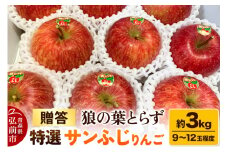 【25年12月発送】りんご サンふじりんご 狼の葉とらず 特選  約3kg（9玉～12玉程度）【贈答用】【レビューキャンペーン】