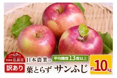 【25年11月～発送】りんご 平均糖度13度以上！ 葉とらずサンふじ 約10kg 訳あり【先行受付】 青森 果物 フルーツ 林檎 リンゴ くだもの 不揃い 規格外 予約【レビューキャンペーン】