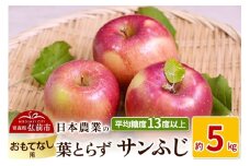 【25年11月～発送】りんご 平均糖度13度以上！ 葉とらずサンふじ 約5kg おもてなし用【先行受付】 青森 果物 フルーツ 林檎 リンゴ くだもの 予約【レビューキャンペーン】