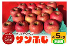 【25年12月～発送】【りんご】かねちゃんりんご 家庭用 サンふじ 約5kg【先行受付】 青森 果物 フルーツ 林檎 リンゴ くだもの 予約【レビューキャンペーン】