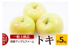 【25年10月～発送】りんご トキ 一般用上級品 約5kg【レビューキャンペーン】