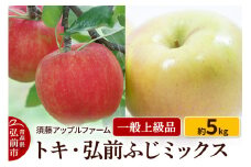 【25年10月～発送】りんご トキ・ひろさきふじミックス 一般用上級品 約5kg【レビューキャンペーン】