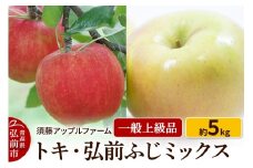 りんご トキ・ひろさきふじミックス 一般用上級品 約5kg【レビューキャンペーン】