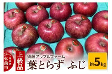 【25年12月発送】りんご 上級品 葉とらず ふじ 約5kg【レビューキャンペーン】