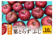 【25年12月発送】りんご【訳あり】家庭用 葉とらず ふじ 約10kg【レビューキャンペーン】