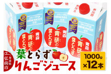 葉とらず りんごジュース（1000g×12本セット）青研 ためのぶストア【レビューキャンペーン】