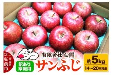 【26年3月発送・先行受付・クール便】りんご 訳あり家庭用 白熊 サンふじ 約5kg（14～20玉程度）糖度13度【レビューキャンペーン】