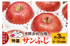 【25年12月発送・先行受付】りんご 特選 白熊 サンふじ 絆 約3kg（9～12玉程度）糖度13度【レビューキャンペーン】