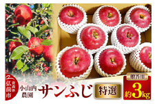 【25年12月～発送】りんご 小山内農園【特選】サンふじ 贈答用 約3kg【弘前市産 青森りんご 果物 フルーツ デザート 食後 青森県産 産地直送 贈り物】【先行受付】 青森 果物 フルーツ 林檎 リンゴ くだもの 予約【レビューキャンペーン】