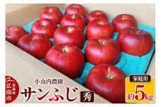 【25年12月～発送】りんご 小山内農園【秀】サンふじ 家庭用 約5kg【弘前市産 青森りんご 果物 フルーツ デザート 食後 青森県産 産地直送】【先行受付】 青森 果物 フルーツ 林檎 リンゴ くだもの 予約【レビューキャンペーン】