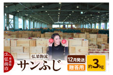 【25年12月発送】りんご 贈答用 サンふじ 約3kg【レビューキャンペーン】