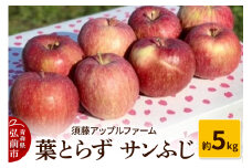【26年1月発送】りんご 葉とらず サンふじ 約5kg【レビューキャンペーン】