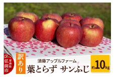 【26年1月発送】りんご【訳あり】家庭用 葉とらず サンふじ 約10kg【レビューキャンペーン】