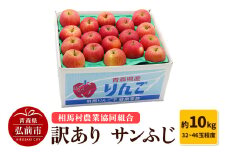 【26年3月発送】りんご【訳あり】サンふじ 約10kg（32～46玉程度）【レビューキャンペーン】